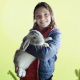 Animali da fattoria