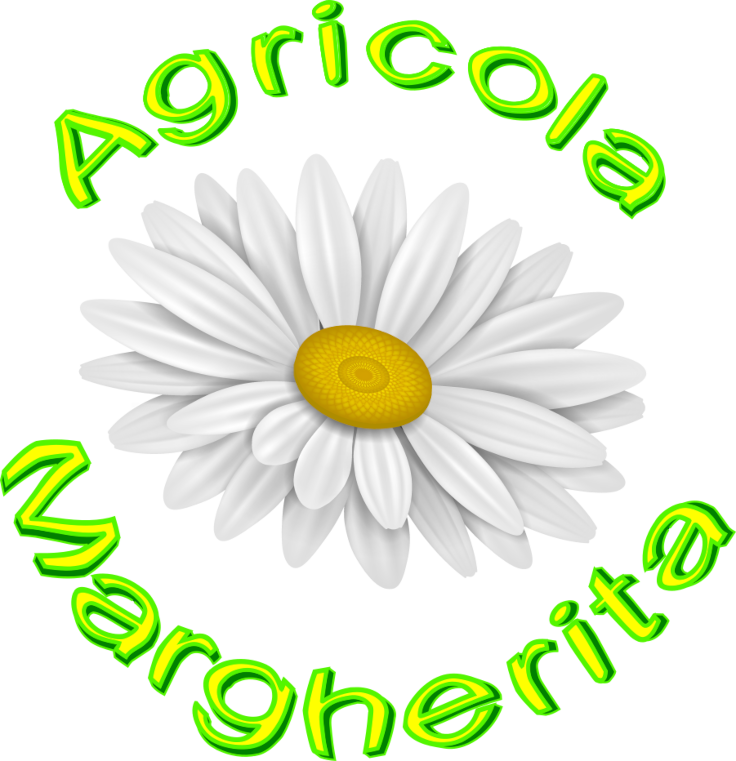 logo 2a Agricola quadrato 736×761 Logo Agricola